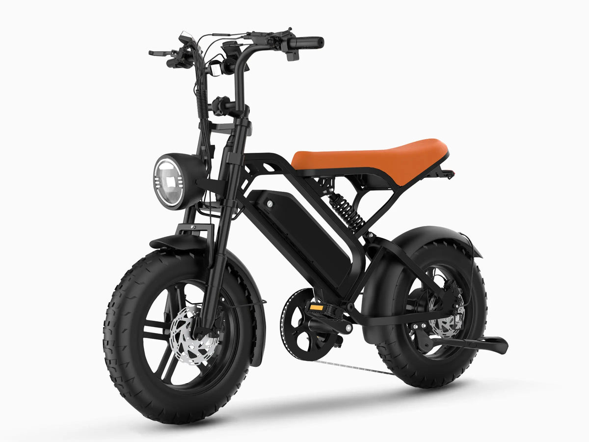 T16 teens/children Ebike GooBee
