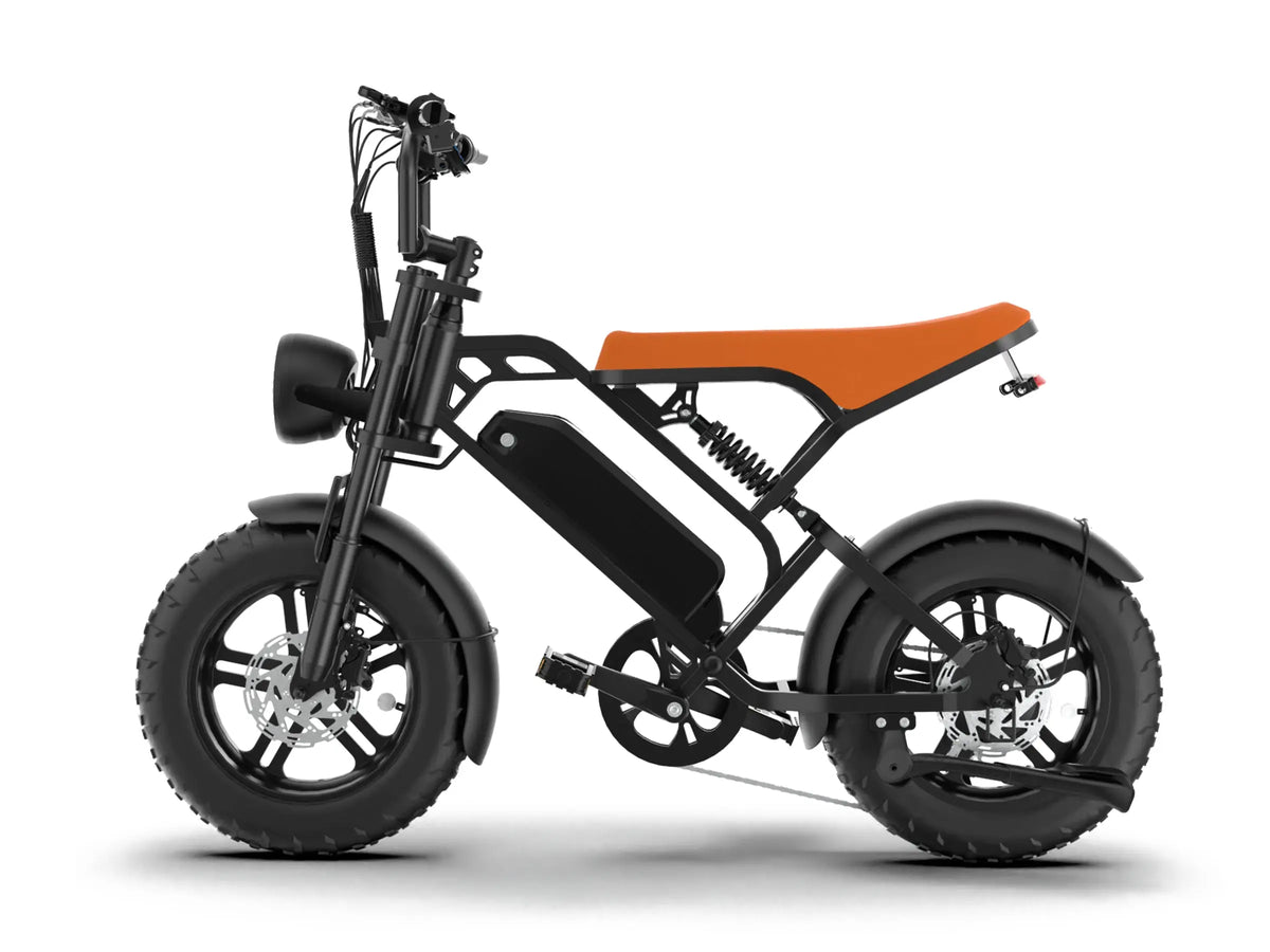 T16 teens/children Ebike GooBee