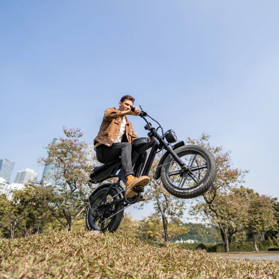 V30 Commuter Ebike GooBee