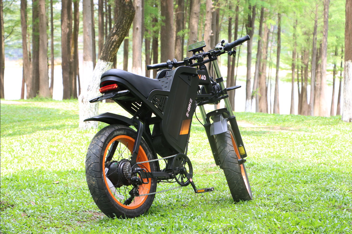 All Ebike