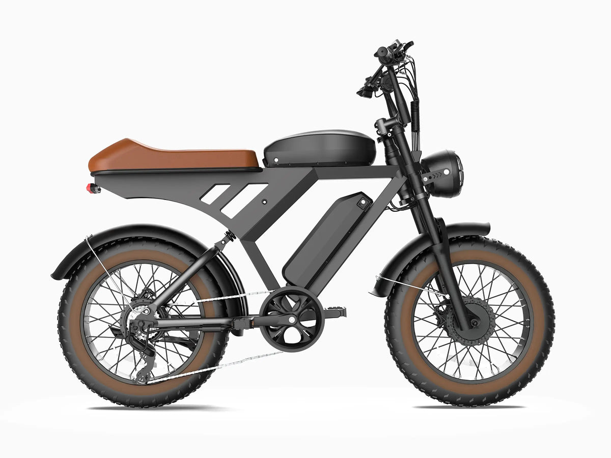 V30 Electric Bike GooBee
