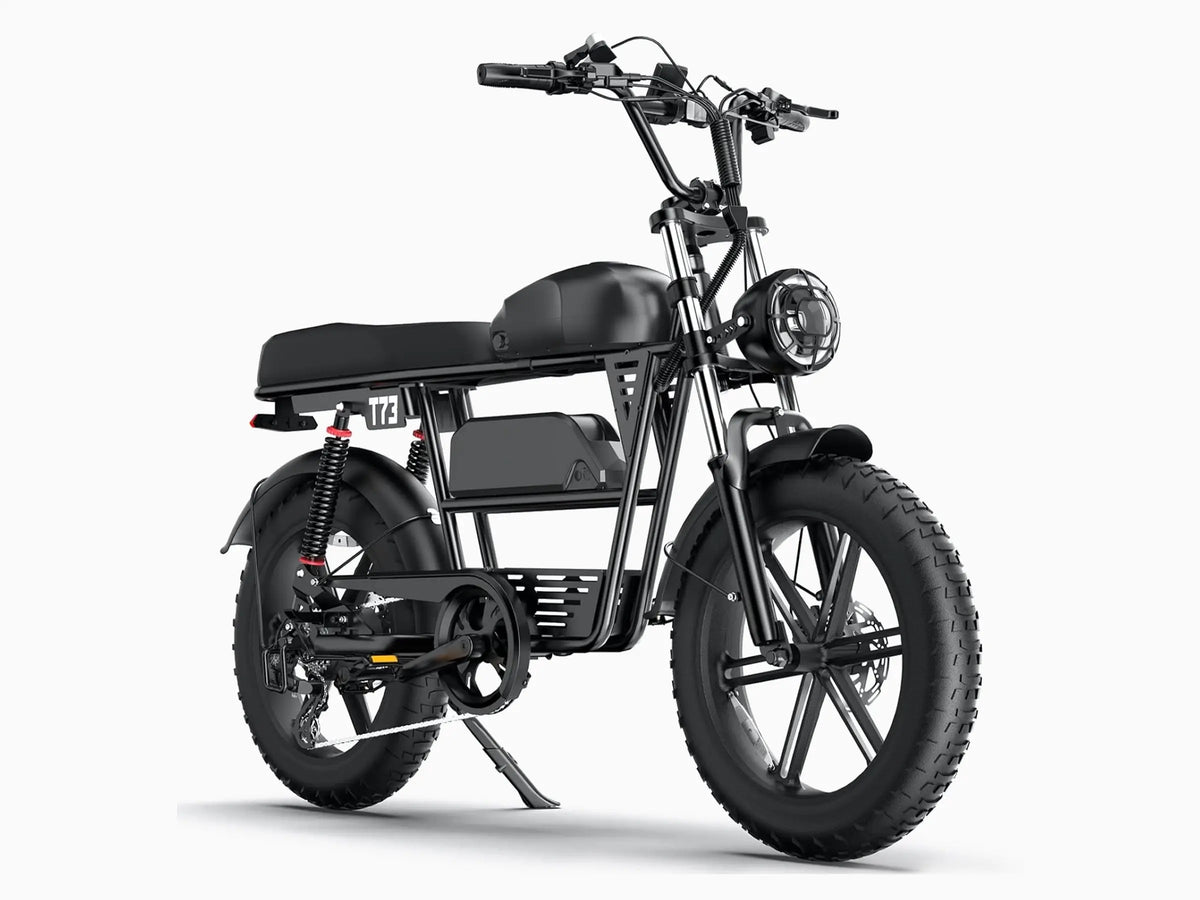 T73 Dual Battery Ebike GooBee