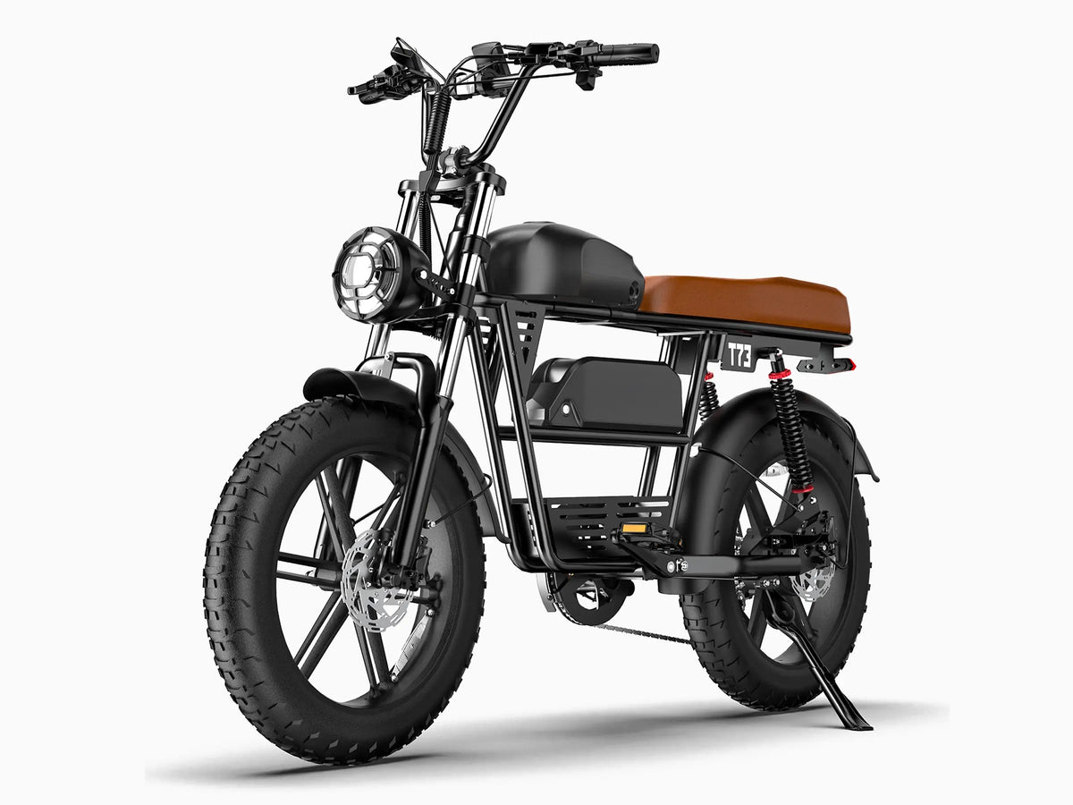 T73 Dual Battery Ebike GooBee