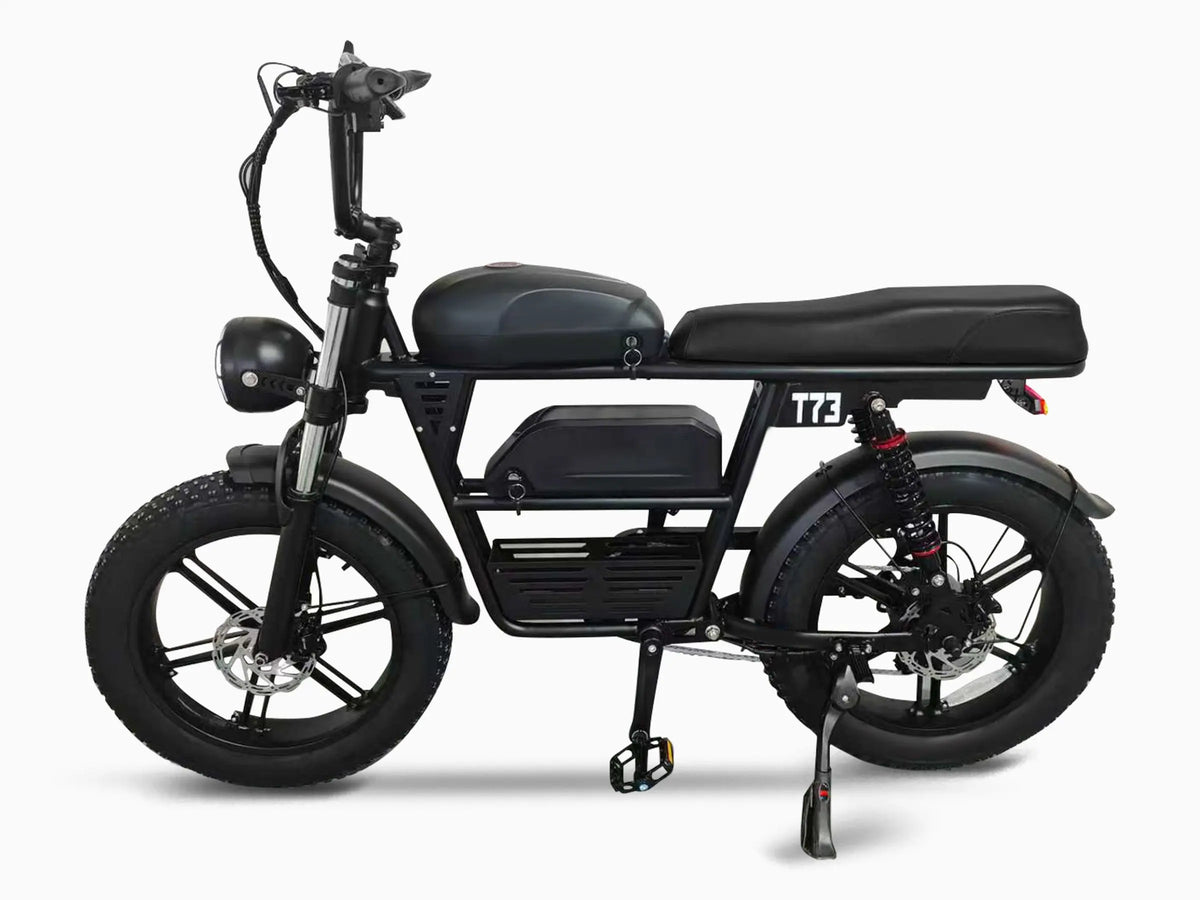T73 Dual Battery Ebike GooBee