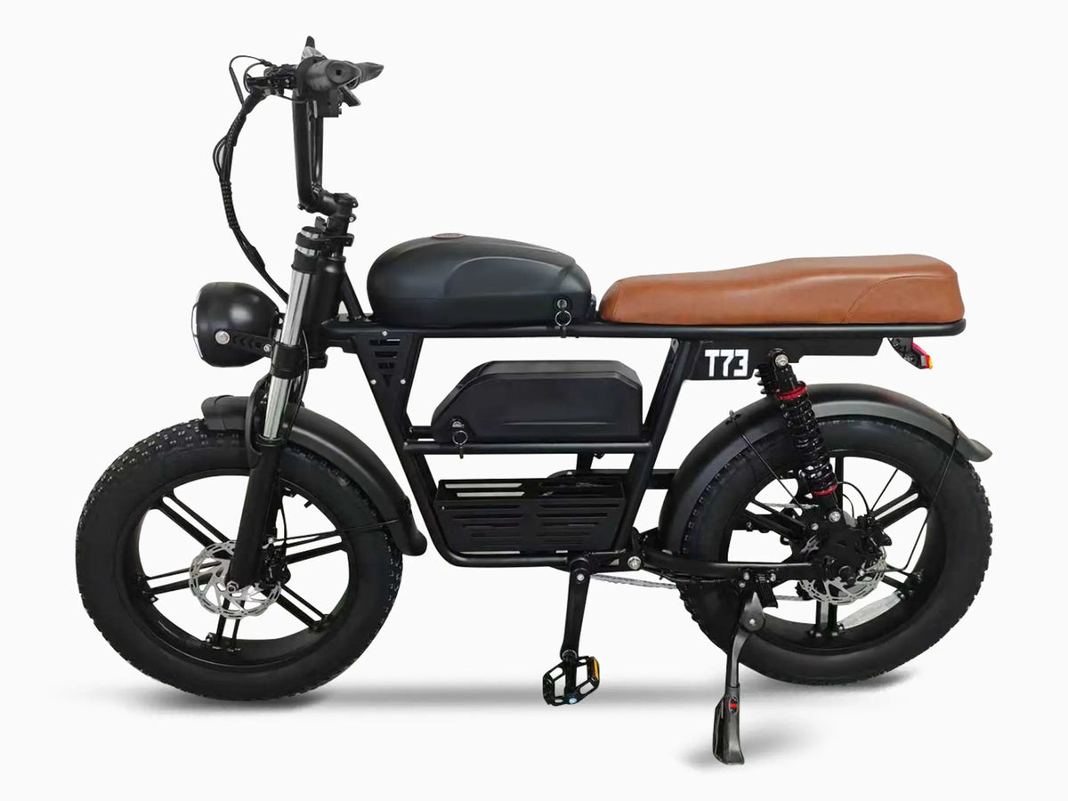 T73 Dual Battery Ebike GooBee