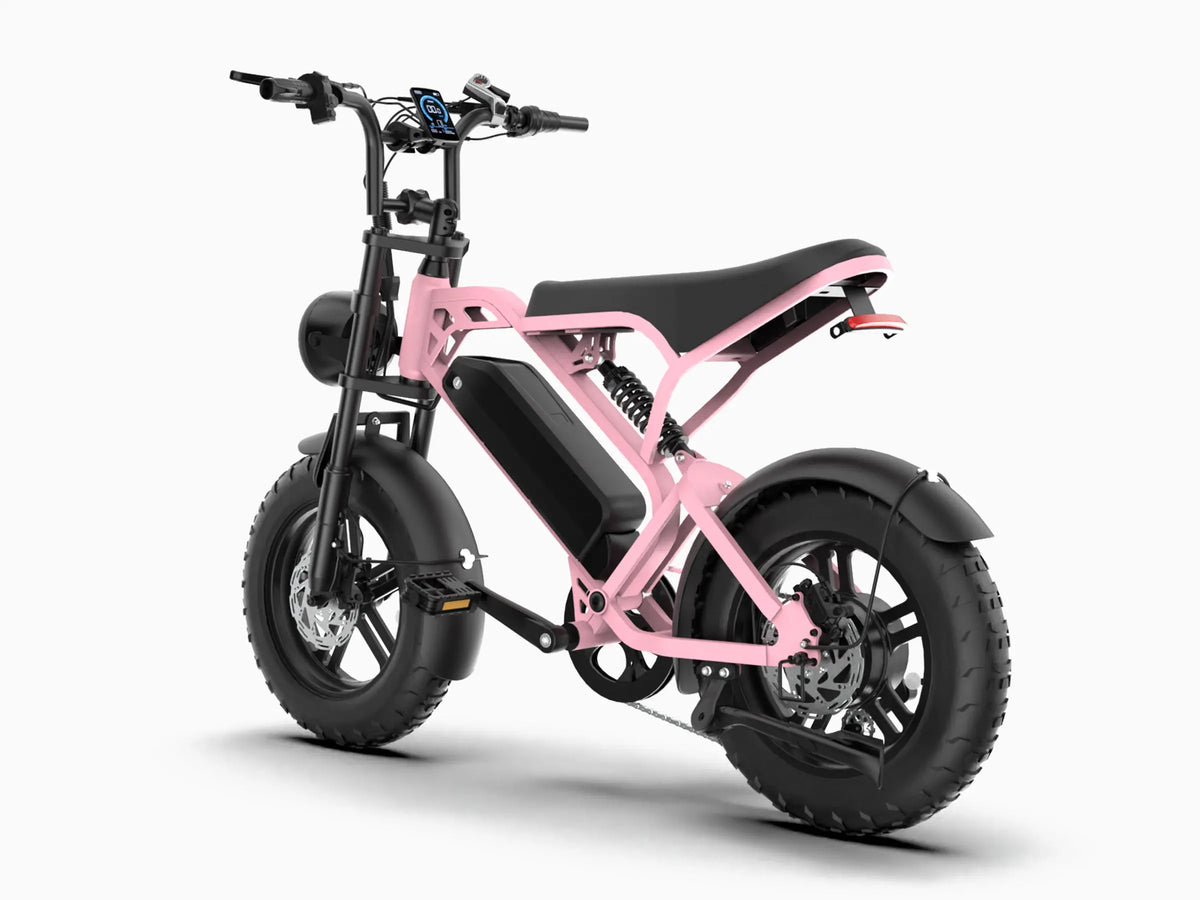 T16 teens/children Ebike GooBee