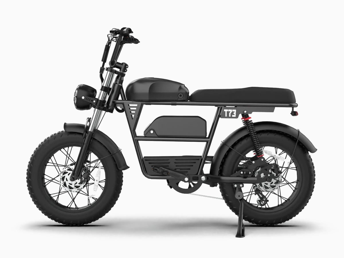 T73 Dual Battery Ebike GooBee