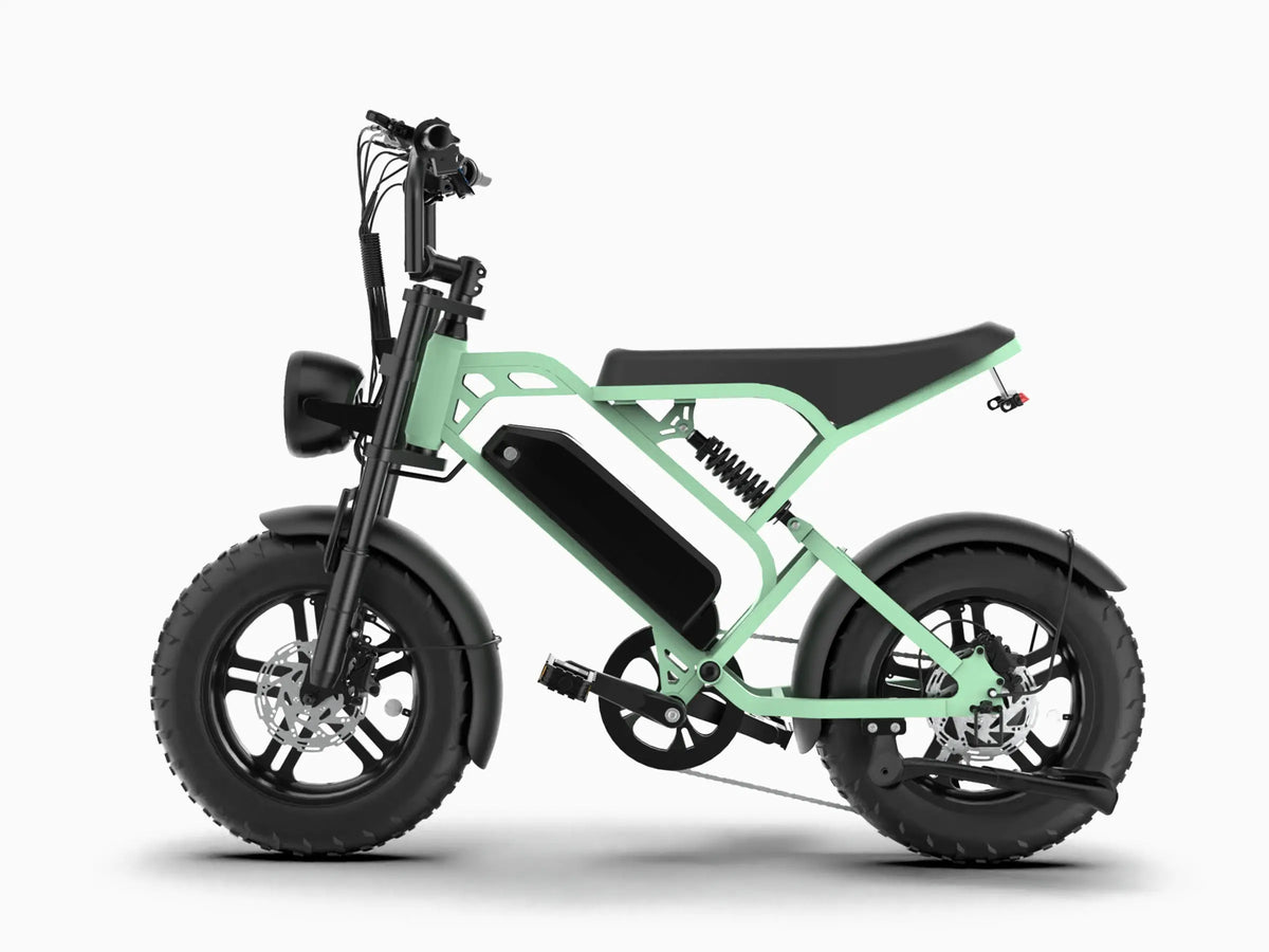 T16 teens/children Ebike GooBee