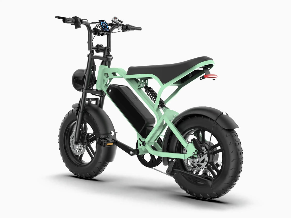 T16 teens/children Ebike GooBee