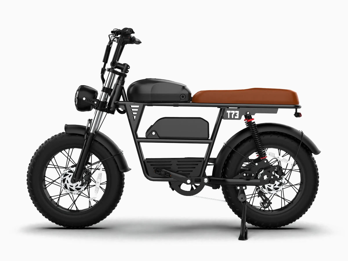 T73 Dual Battery Ebike GooBee