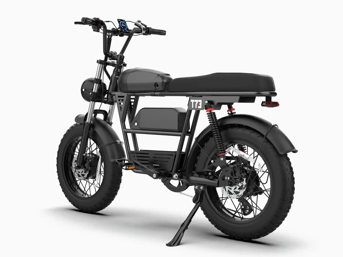 T73 Dual Battery Ebike GooBee
