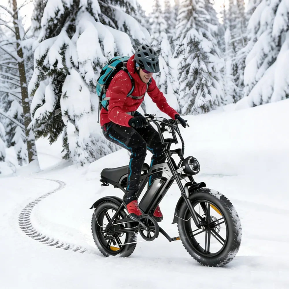 V20 Commuter Ebike GooBee