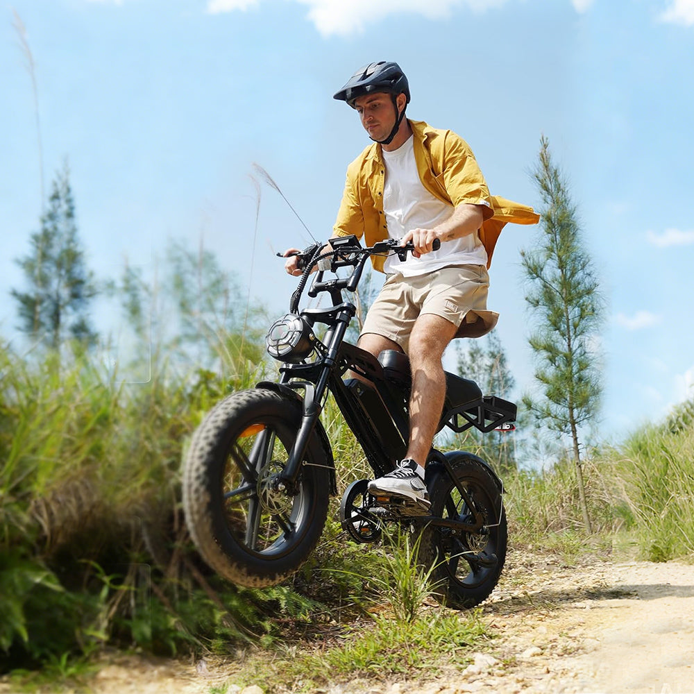 V20 Commuter Ebike